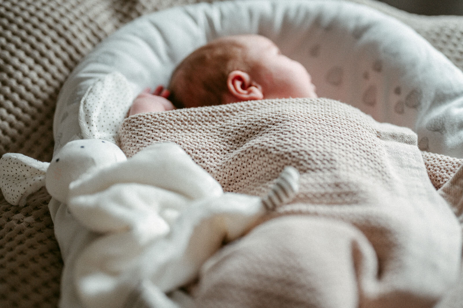 Fotografie eines Neugeborenen im Babybett von Babyfotografin aus Zürich